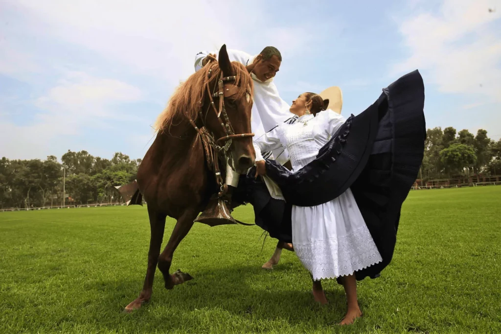 tour-caballo-de-paso-1-pextour