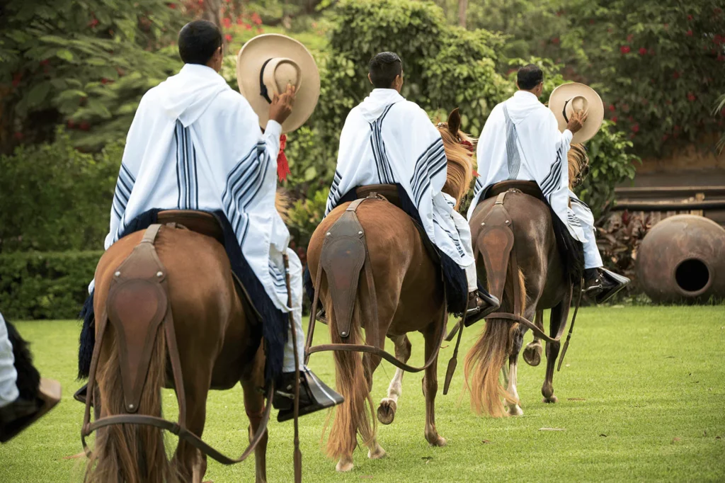 tour-caballo-de-paso-2-pextour